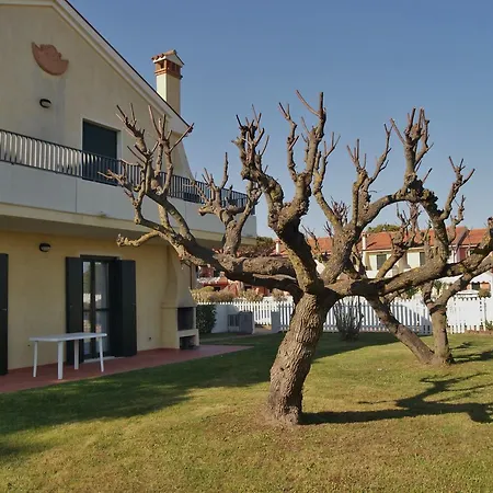 In Portosole E Tamerici Con Piscina-cavallino Treporti Lägenhet